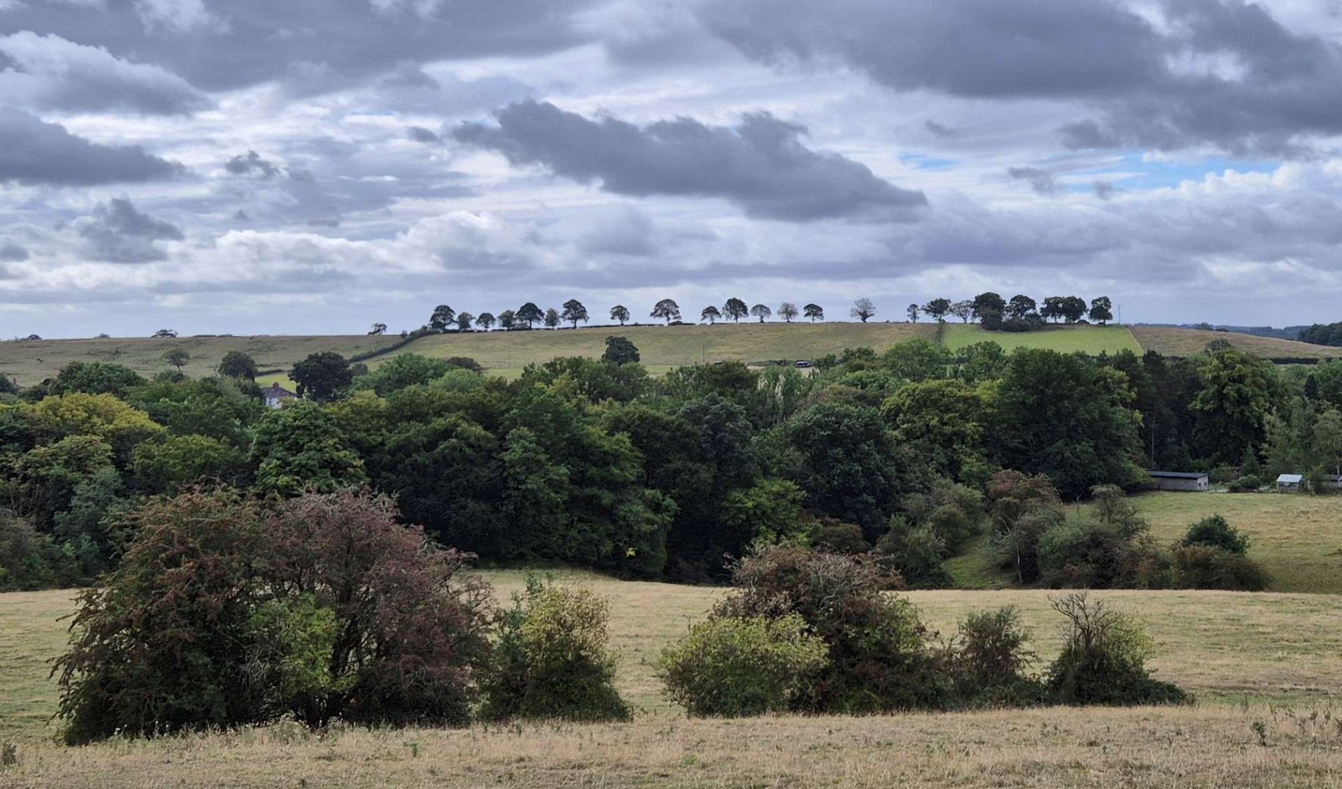 From an earlier walk in the area